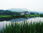 田园风光