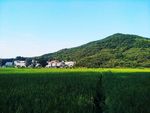 新农村