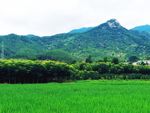 田园风光