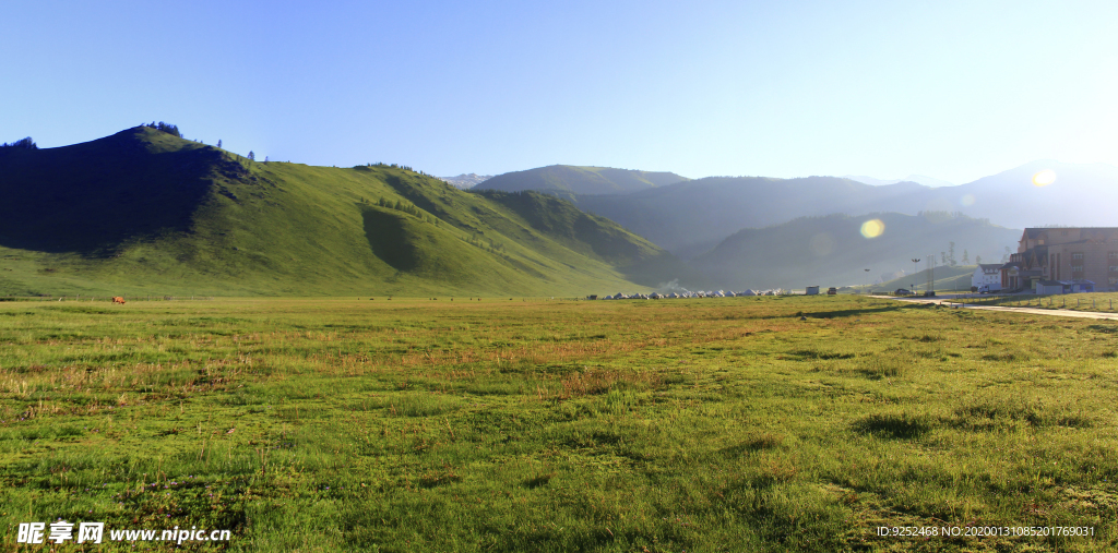 高山草地