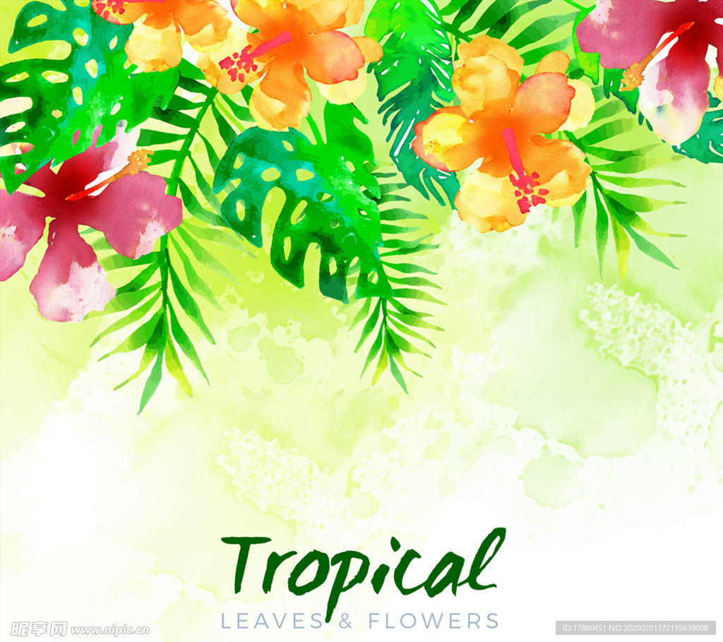 水彩绘美丽热带花卉