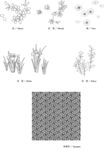日本线描植物花卉矢量素材
