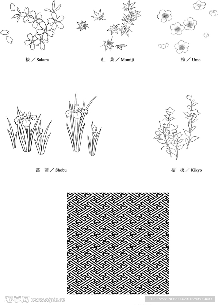 日本线描植物花卉矢量素材