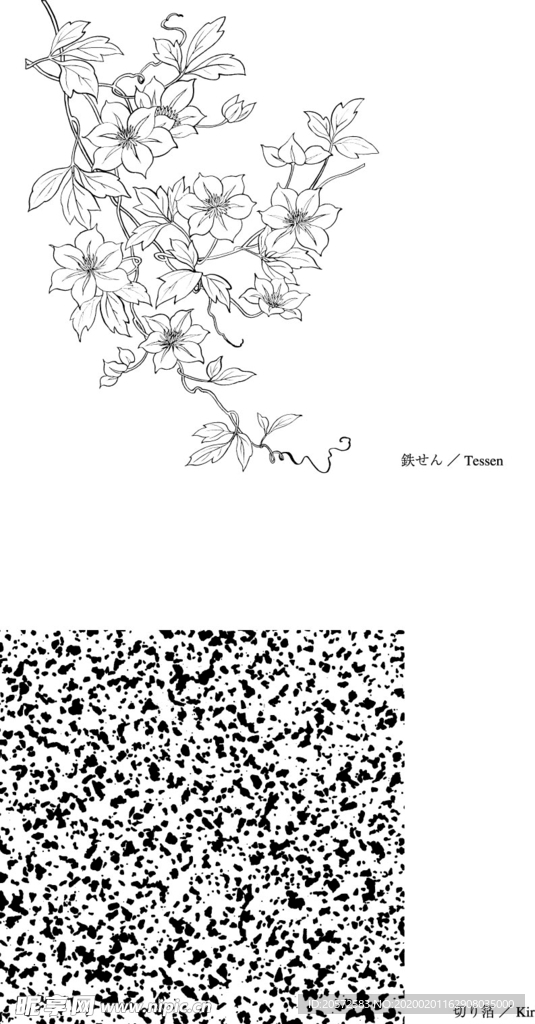 日本线描植物花卉矢量素材