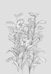 日本线描植物花卉矢量素材