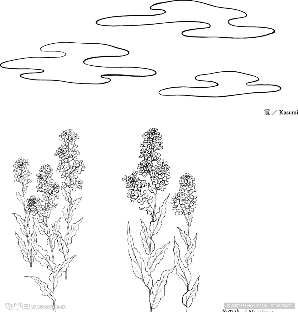 日本线描植物花卉矢量素材