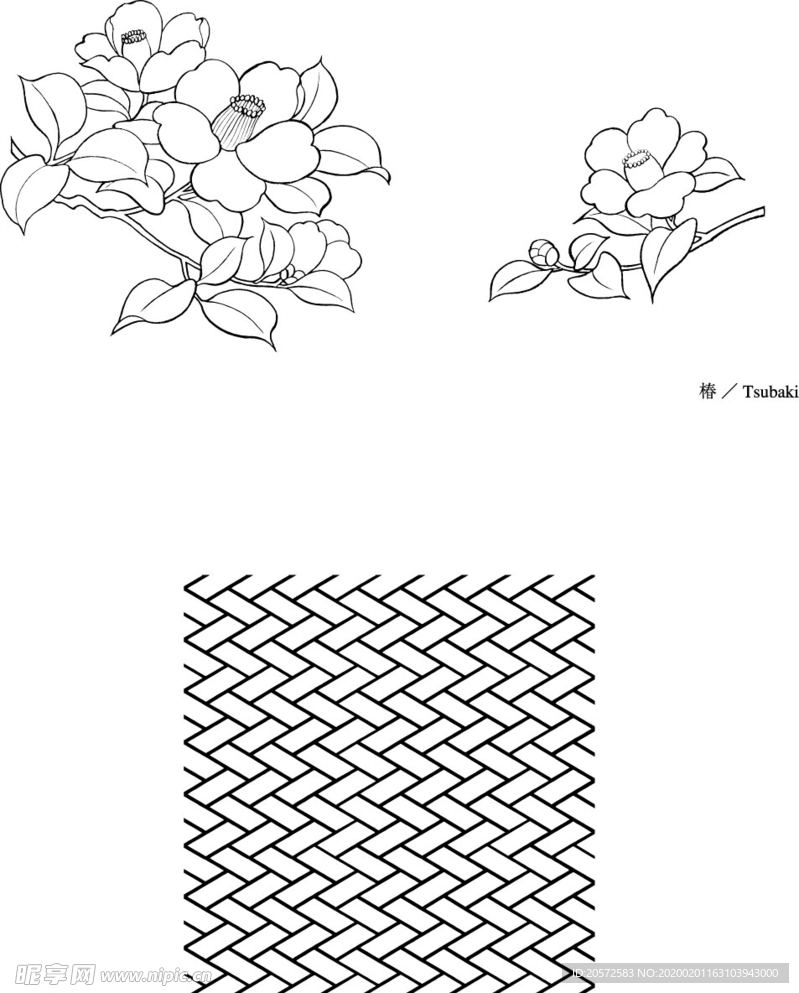 日本线描植物花卉矢量素材