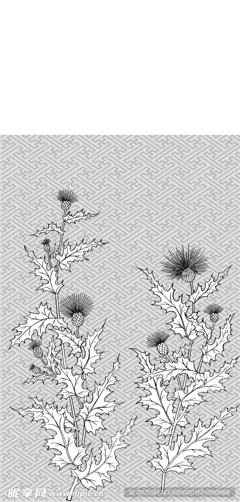 日本线描植物花卉矢量素材