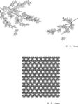 日本线描植物花卉矢量素材