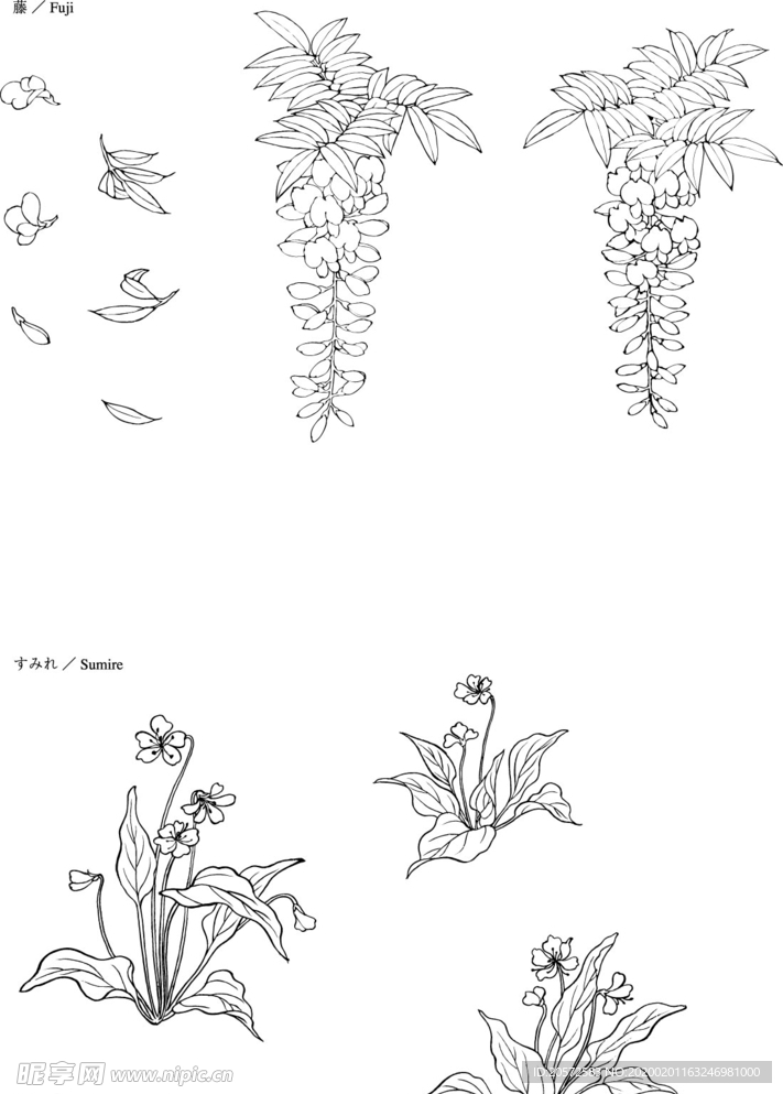 日本线描植物花卉矢量素材