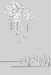 日本线描植物花卉矢量素材