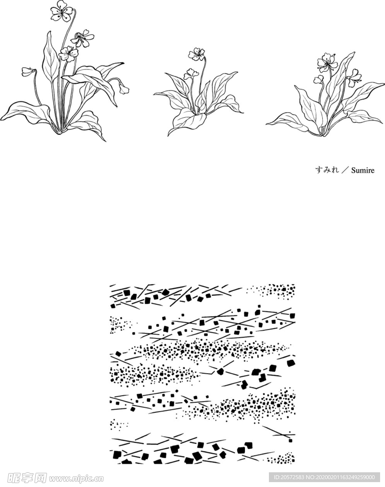 日本线描植物花卉矢量素材