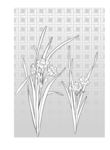 日本线描植物花卉矢量素材