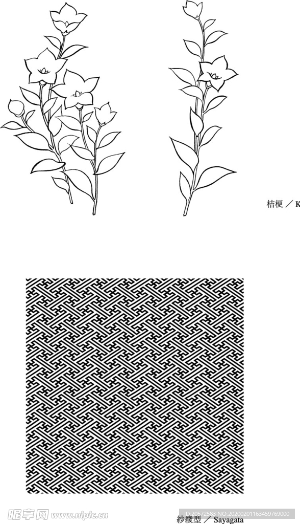 日本线描植物花卉矢量素材