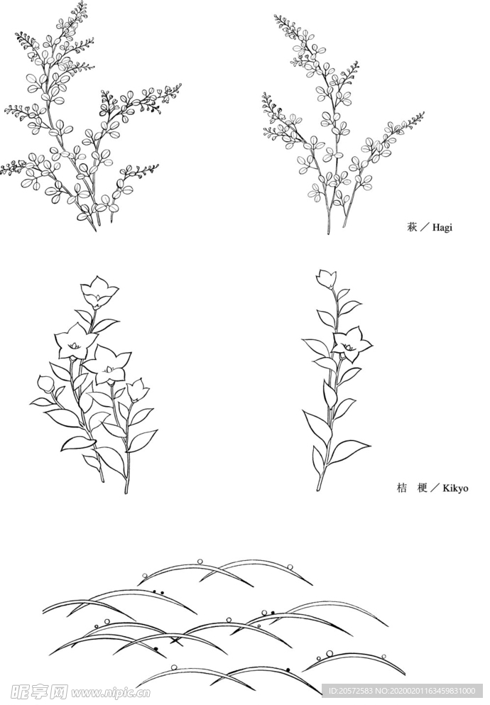 日本线描植物花卉矢量素材