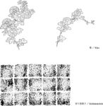 日本线描植物花卉矢量素材