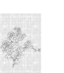 日本线描植物花卉矢量素材