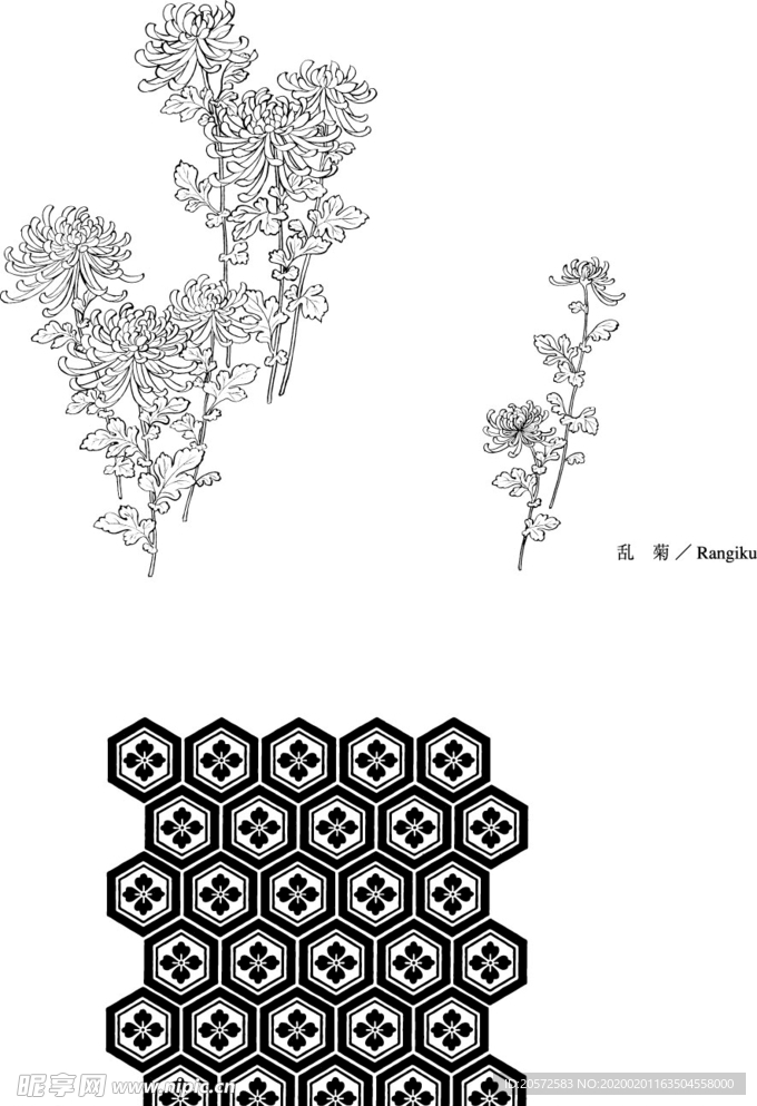 日本线描植物花卉矢量素材