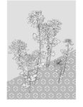 日本线描植物花卉矢量素材