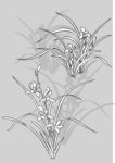 日本线描植物花卉矢量素材