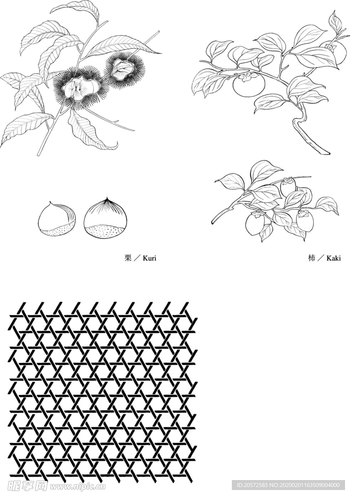 日本线描植物花卉矢量素材