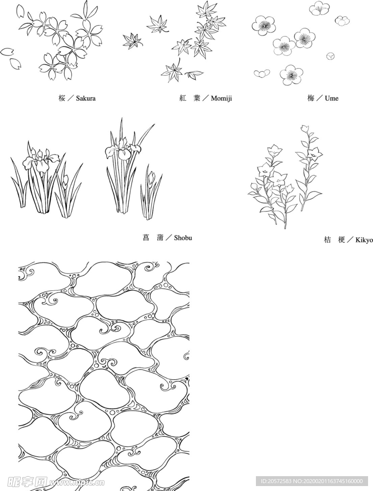 日本线描植物花卉矢量素材