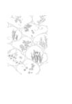 日本线描植物花卉矢量素材