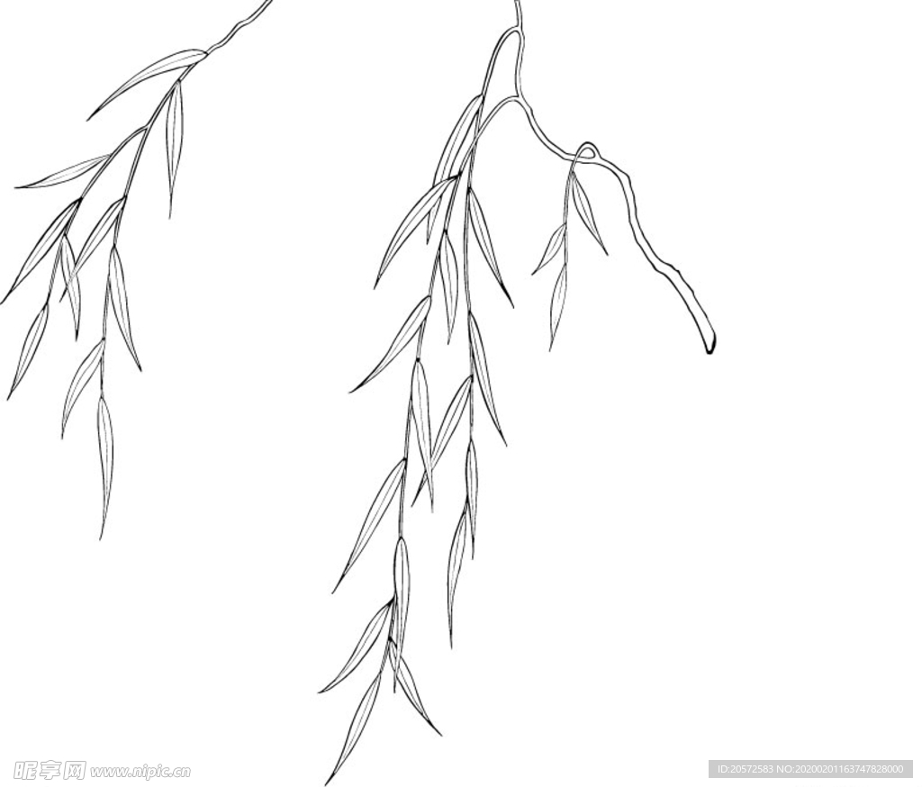 日本线描植物花卉矢量素材