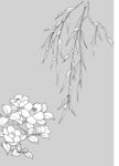 日本线描植物花卉矢量素材