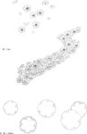 日本线描植物花卉矢量素材