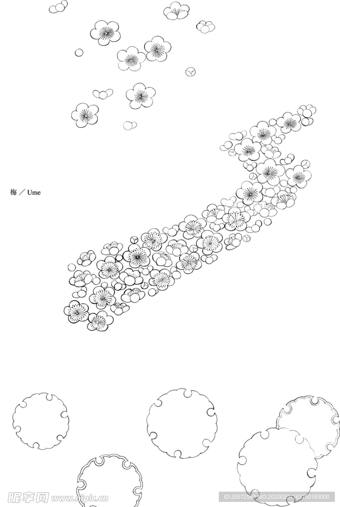 日本线描植物花卉矢量素材