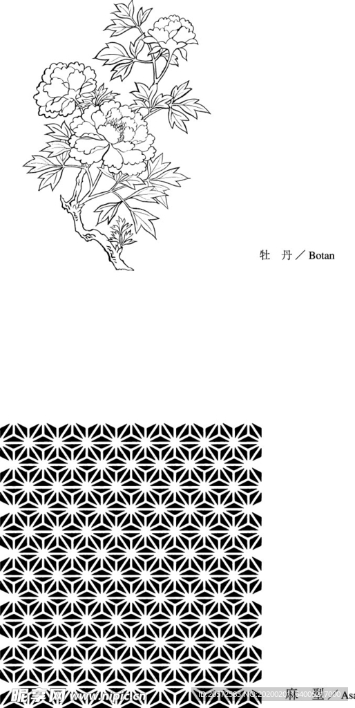 日本线描植物花卉矢量素材