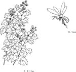 日本线描植物花卉矢量素材