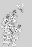 日本线描植物花卉矢量素材
