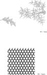 日本线描植物花卉矢量素材