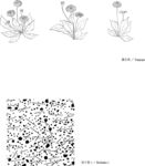 日本线描植物花卉矢量素材