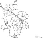 日本线描植物花卉矢量素材