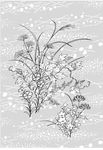 日本线描植物花卉矢量素材