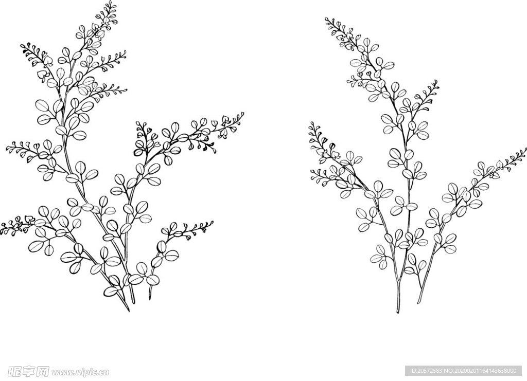 日本线描植物花卉矢量素材