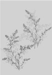 日本线描植物花卉矢量素材