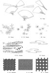 日本线描植物花卉矢量素材