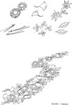 日本线描植物花卉矢量素材