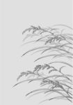 日本线描植物花卉矢量素材