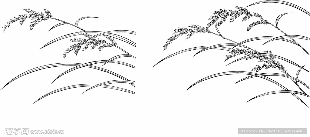 日本线描植物花卉矢量素材