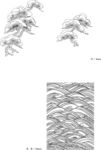 日本线描植物花卉矢量素材