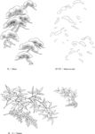 日本线描植物花卉矢量素材