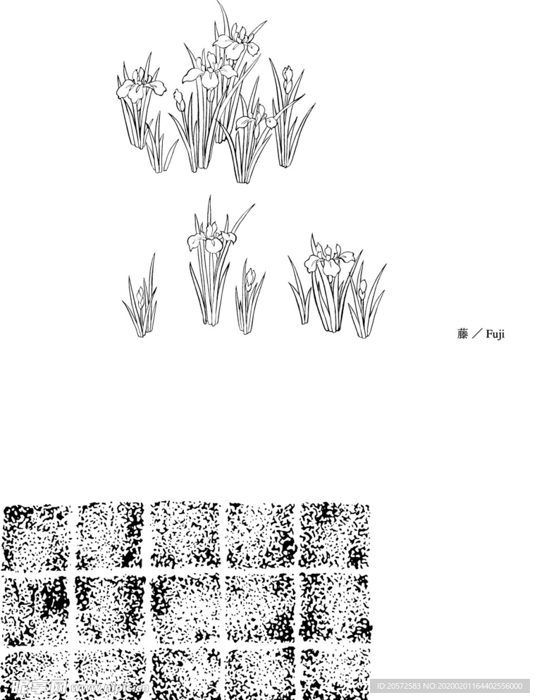 日本线描植物花卉矢量素材