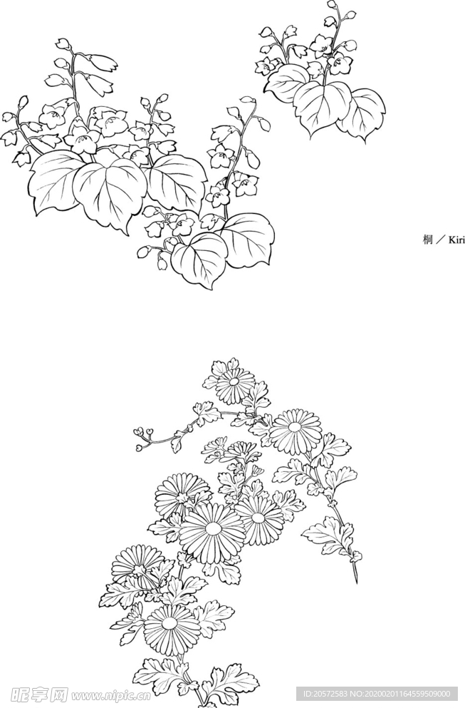 日本线描植物花卉矢量素材