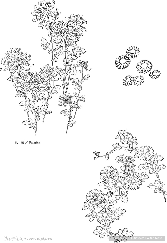 日本线描植物花卉矢量素材