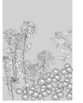 日本线描植物花卉矢量素材